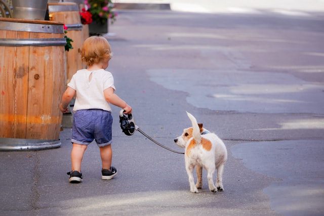 A little baby girl walking a dog in the city
