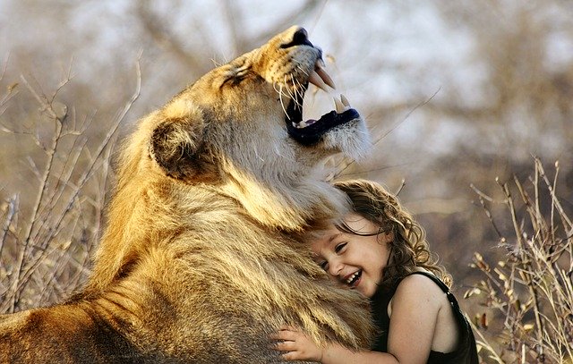 A lion hugging with laughter when a girl sweetly hugs him